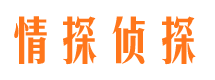 都安市婚外情调查